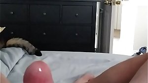 Big Cumshot after solo edging and assplay